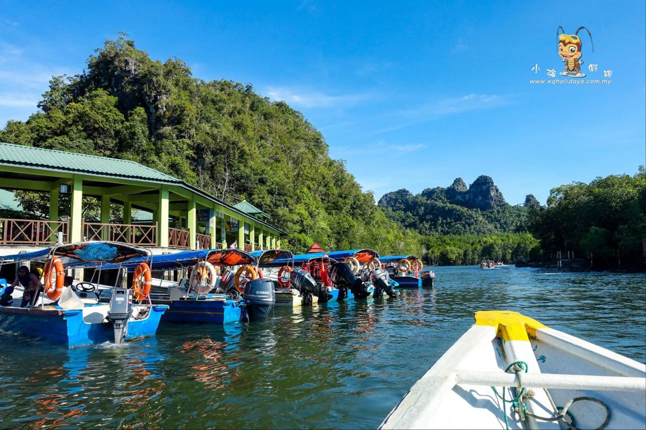 Jelajahi Mangrove Tour Langkawi: Keindahan Alam yang Eksotis